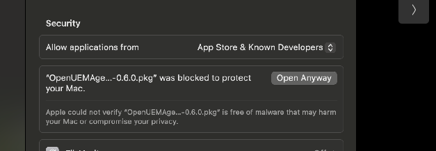 MacOS open anyway
