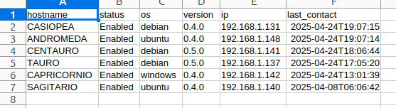 Agents CSV report sample