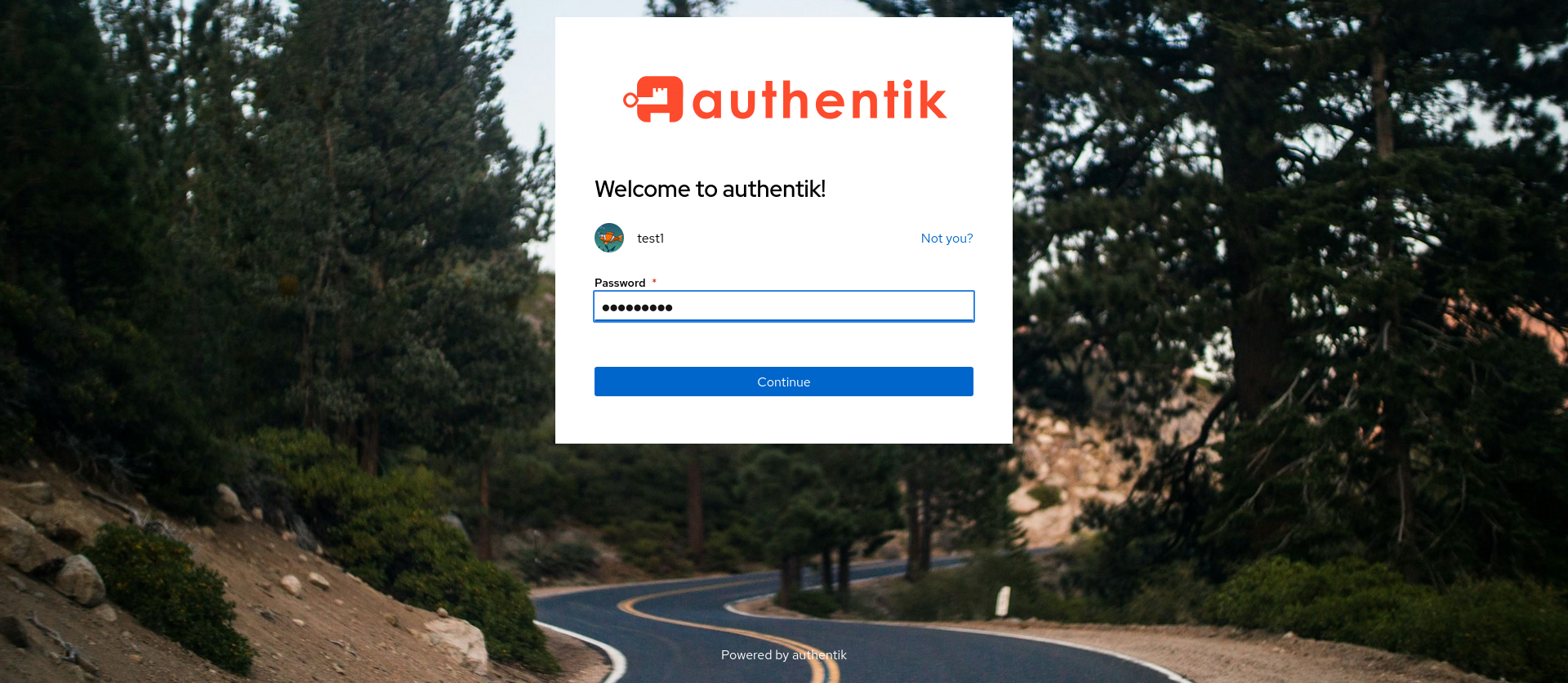 Authentik&#39;s redirection